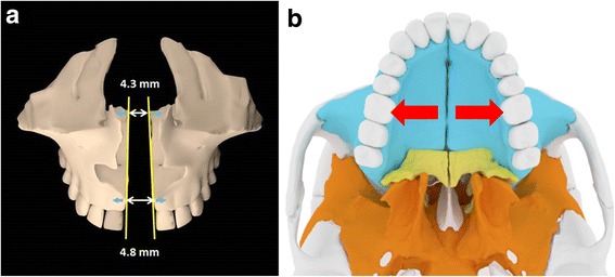 Fig. 10