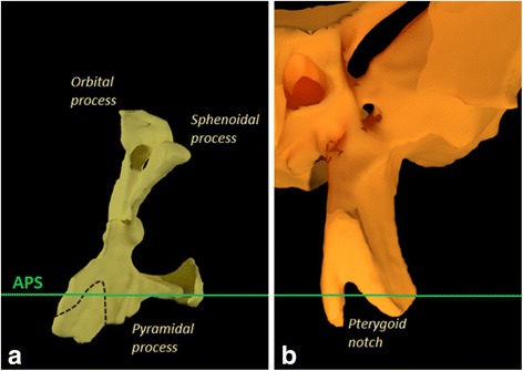 Fig. 8