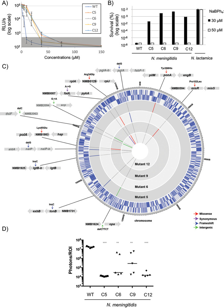 FIG 6