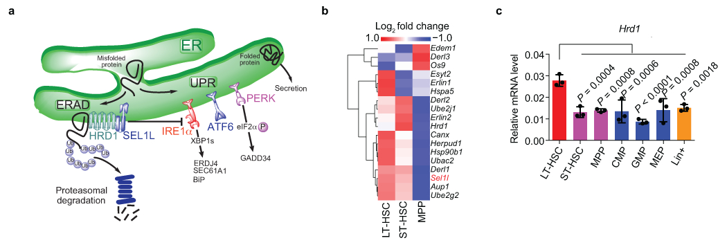 Extended Data Fig. 1