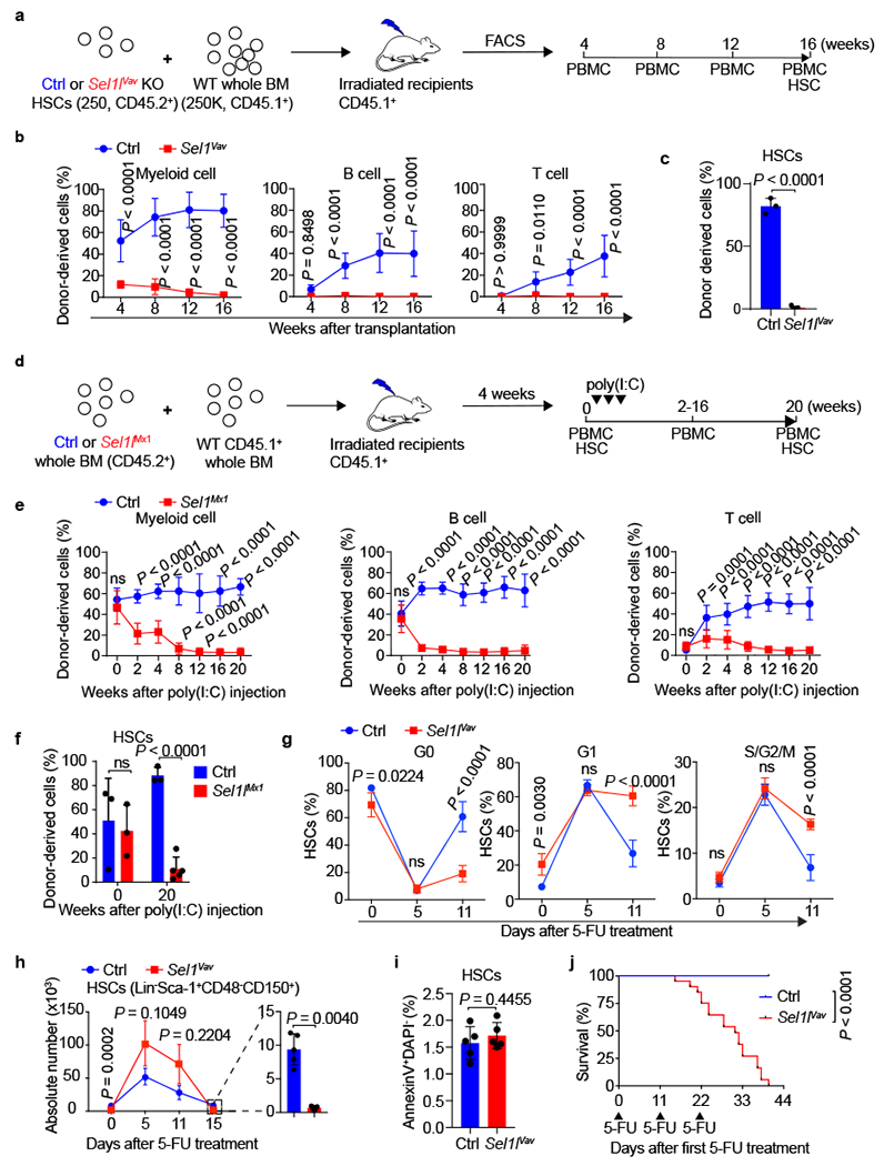 Figure 2 |