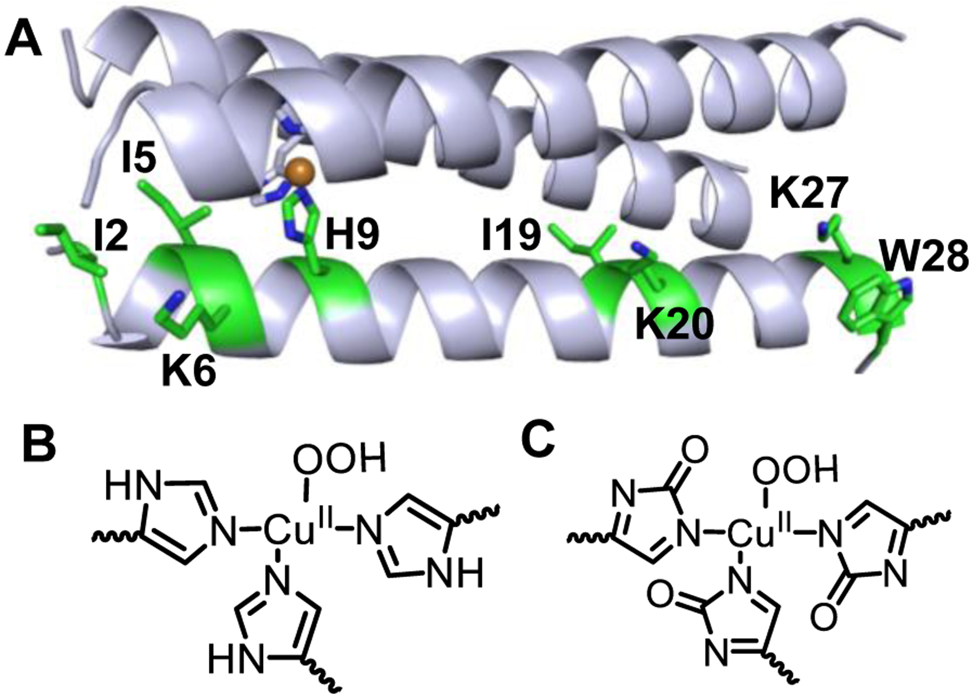 Fig. 8.