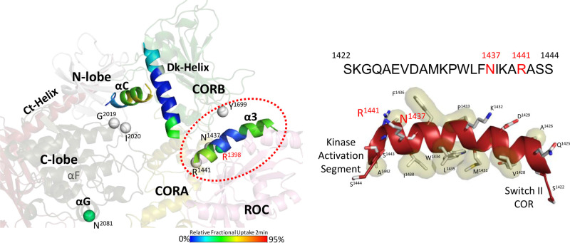 Figure 2.