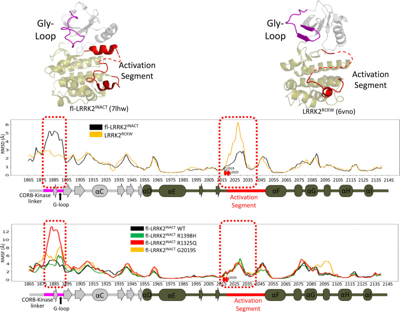 Figure 11.