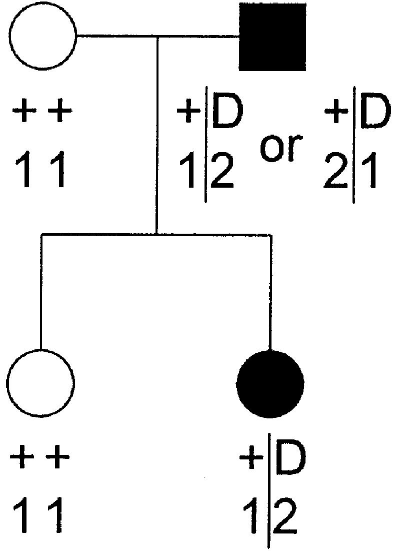 Figure  4