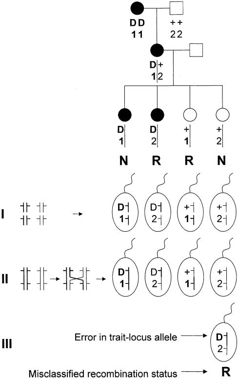 Figure  1