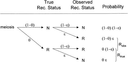 Figure  2