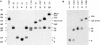 Figure  5