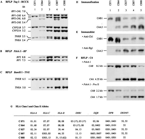 Figure  2