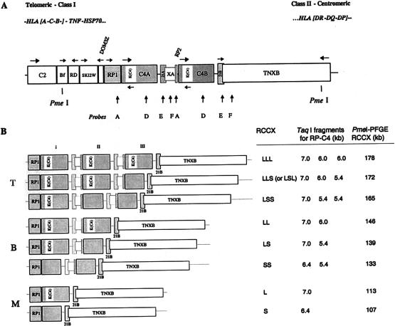 Figure  1