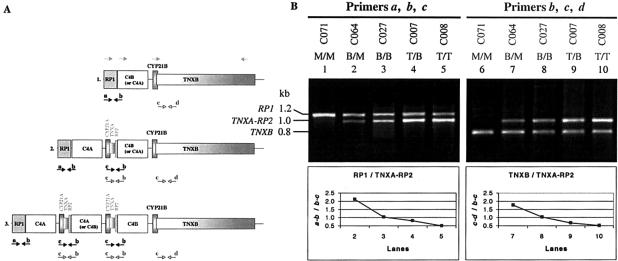 Figure  3