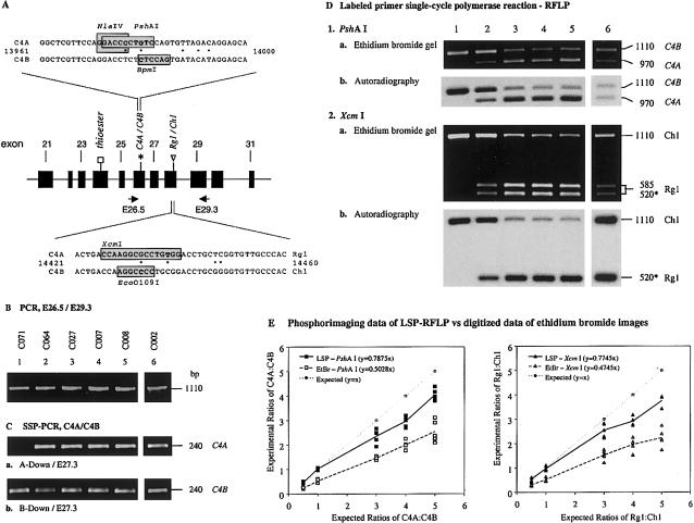 Figure  4