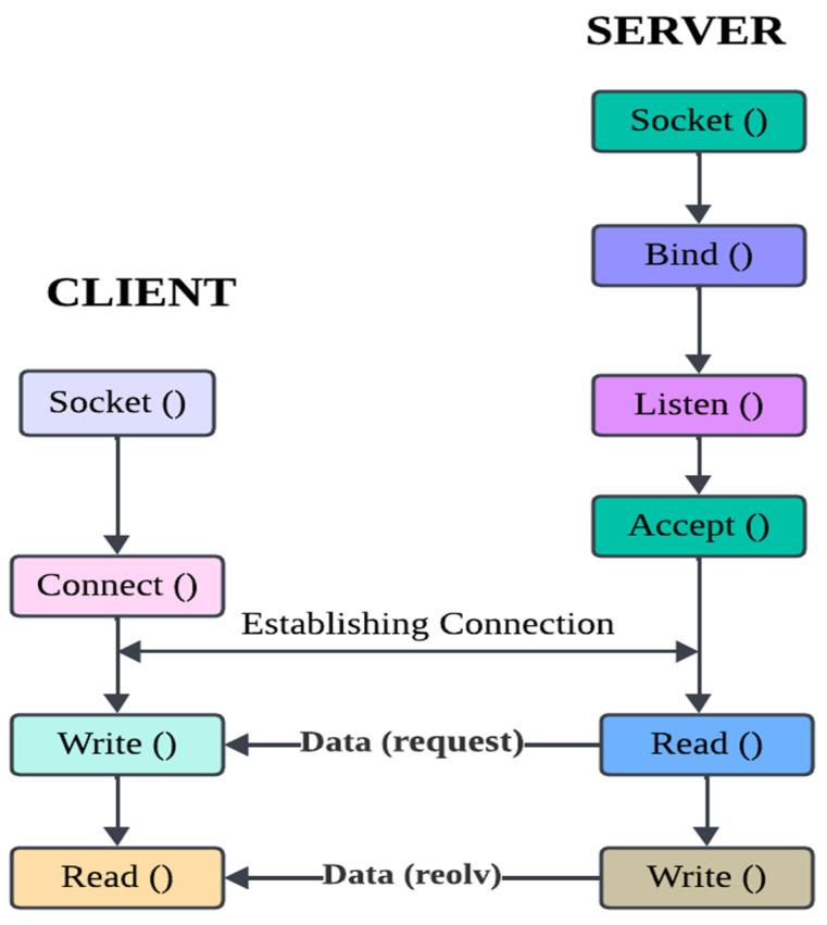 Figure 5