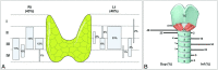 Fig 1.