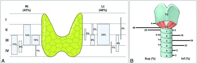 Zuckerkandl Tubercle of the Thyroid Gland: Correlations between ...