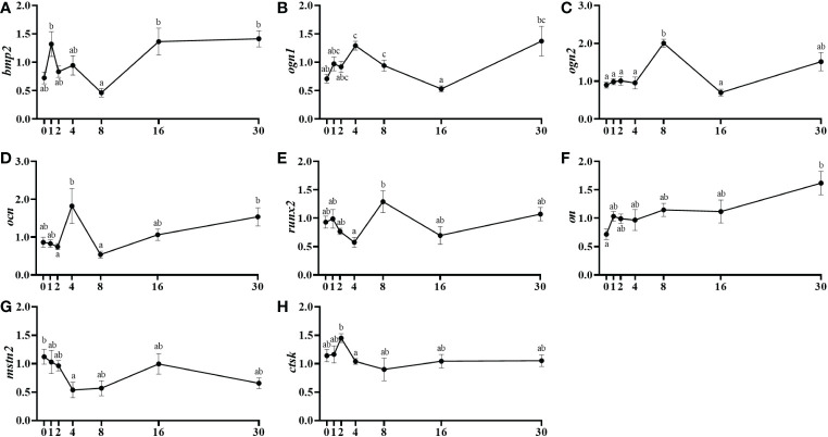 Figure 6