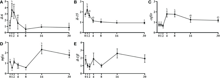 Figure 5