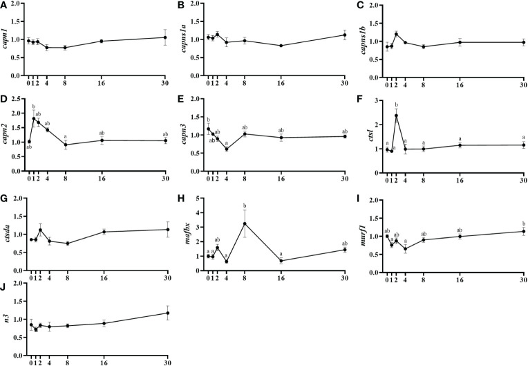 Figure 3