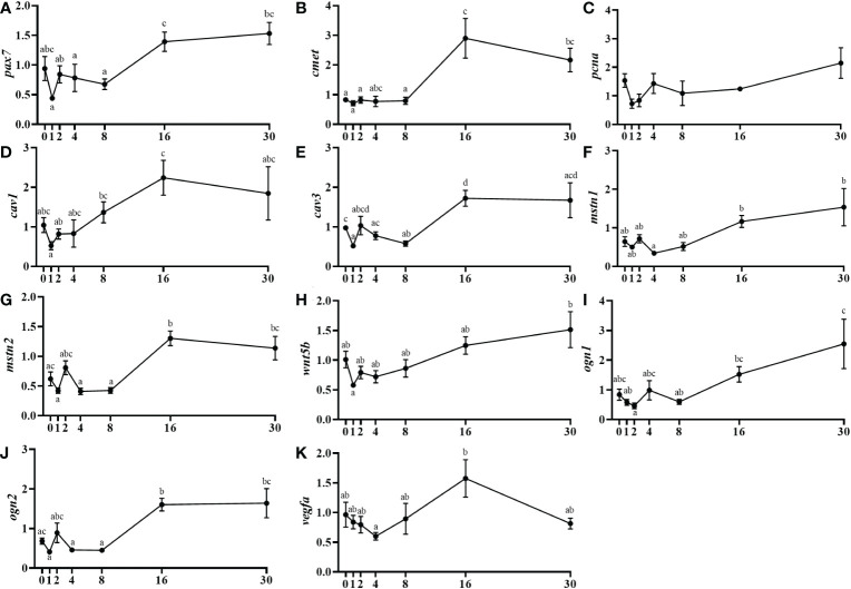 Figure 4