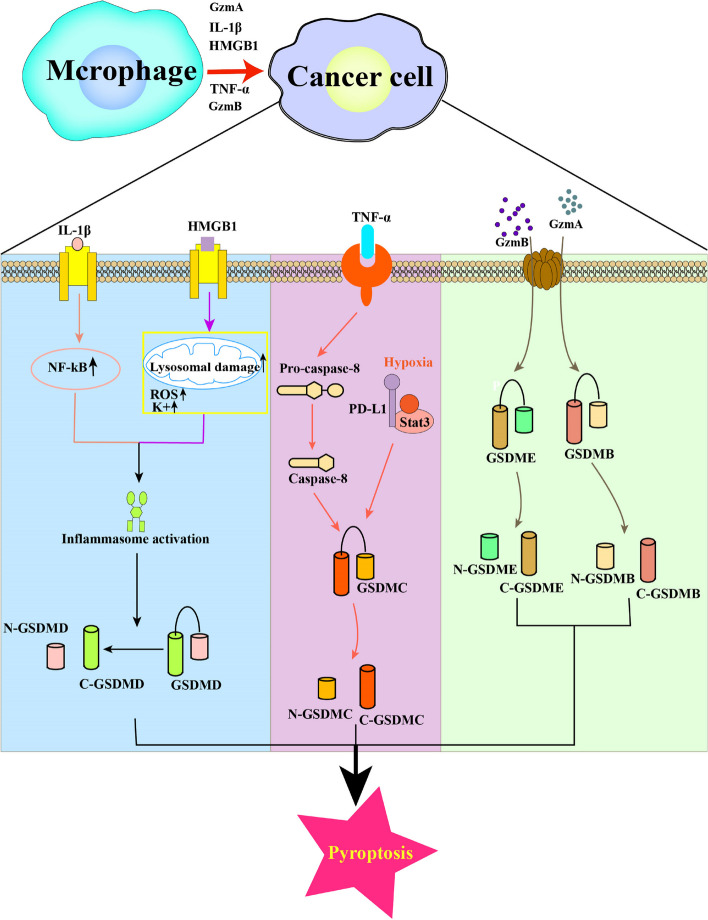 Fig. 4