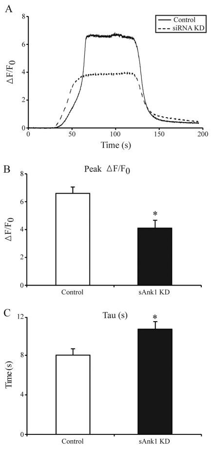 Fig. 9.