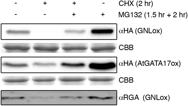 Figure 6.