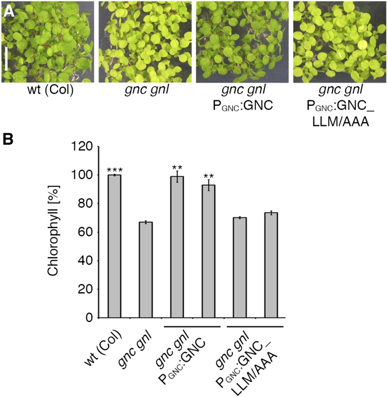 Figure 10.