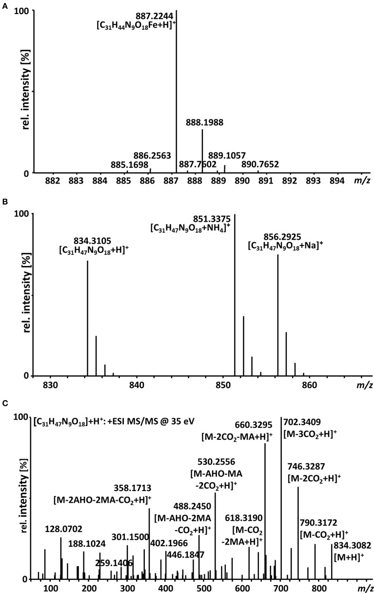 Figure 2