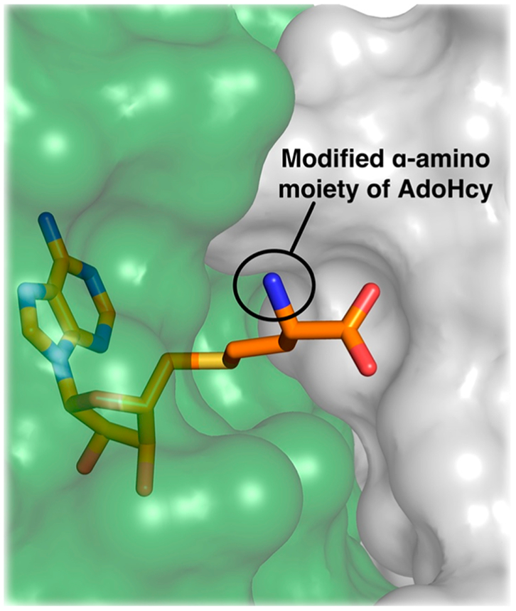 Figure 2.