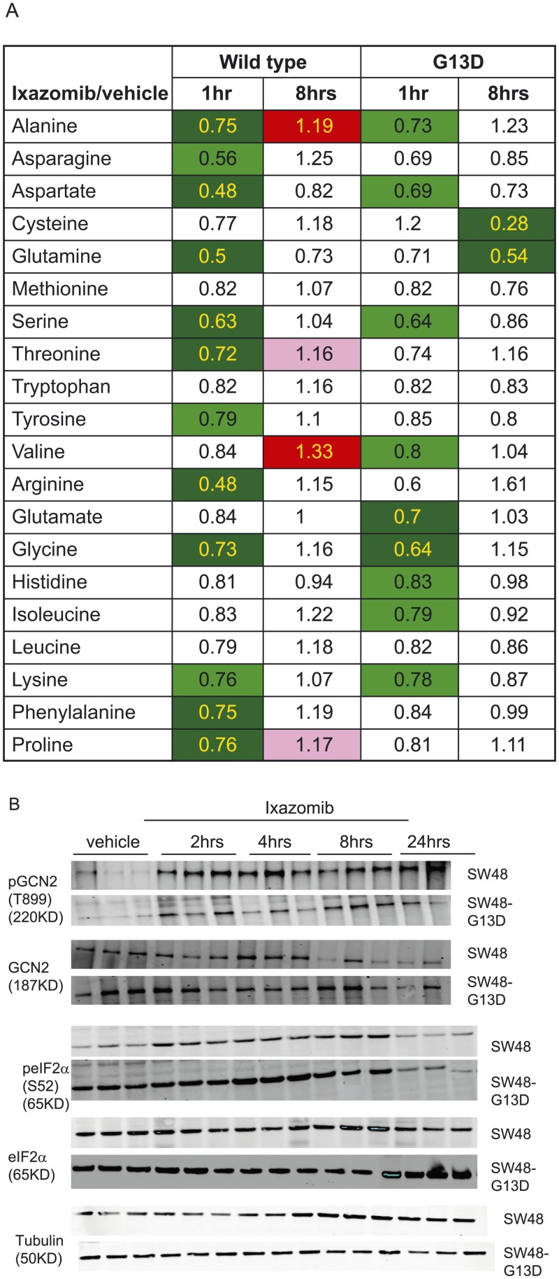 Fig 5