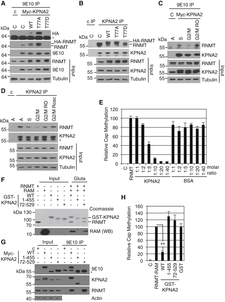 Figure 5