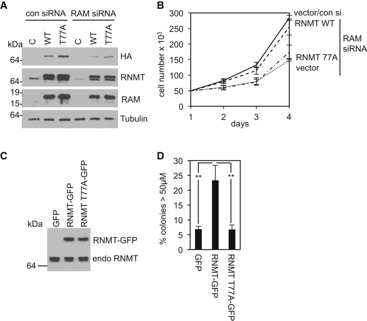 Figure 7