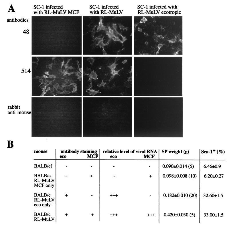 FIG. 5.