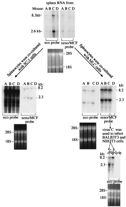 FIG. 7.