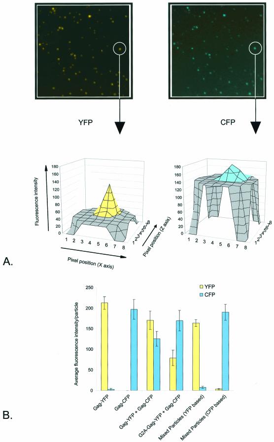 FIG.4.