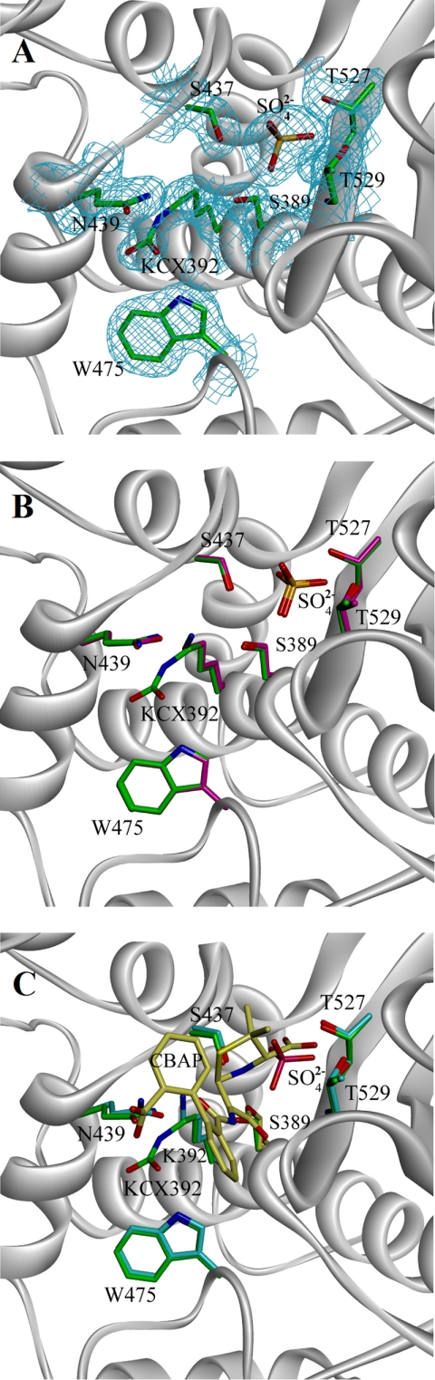 FIGURE 2.