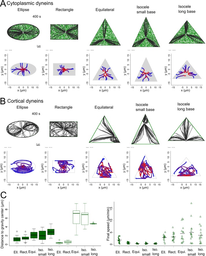 FIGURE 2: