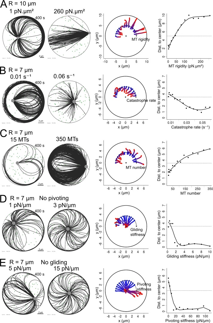 FIGURE 5: