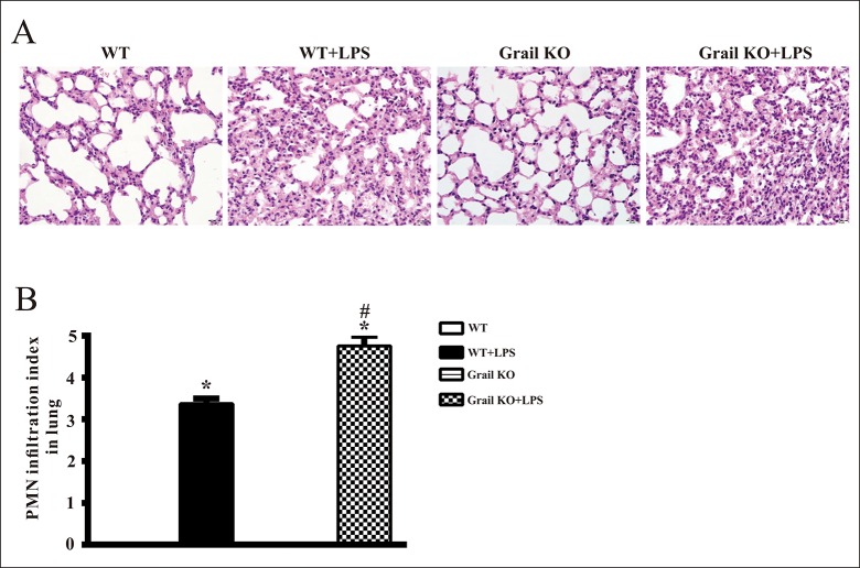 Fig 5