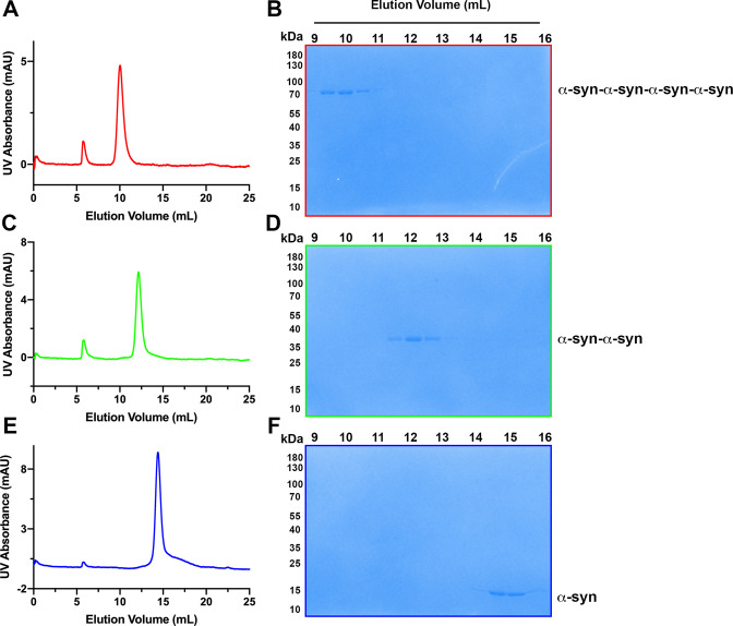 Figure 2—figure supplement 3.