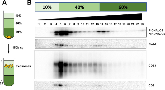 Figure 2—figure supplement 2.