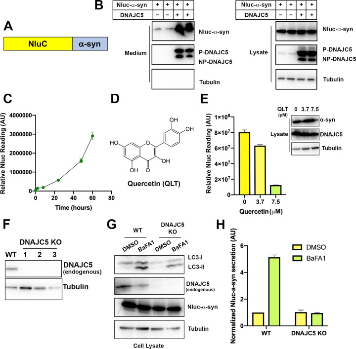 Figure 1—figure supplement 3.