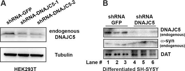 Figure 7—figure supplement 3.