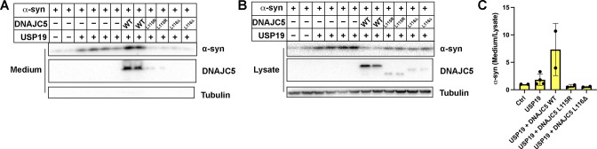 Figure 3—figure supplement 2.