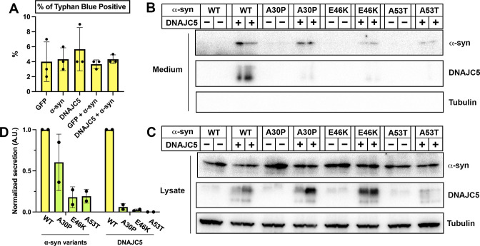 Figure 1—figure supplement 2.