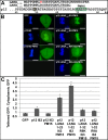 FIG 4