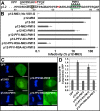 FIG 3