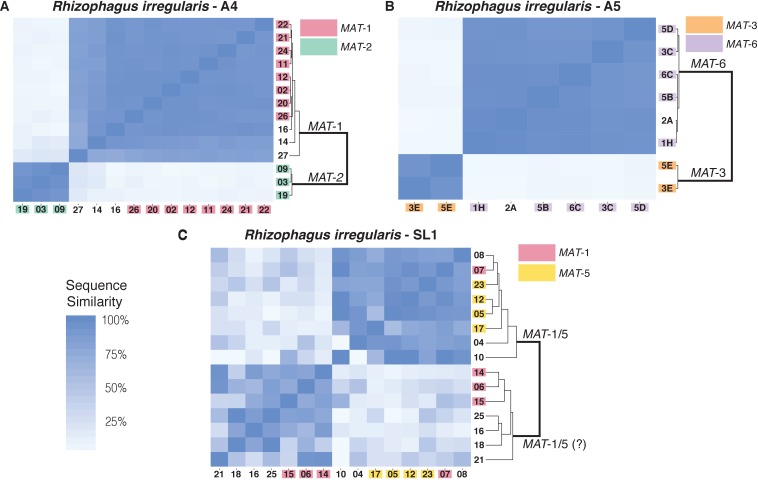 graphic file with name elife-46860-fig2.jpg