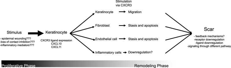 graphic file with name fig-2.jpg