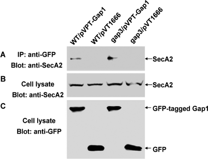 Fig. 9.